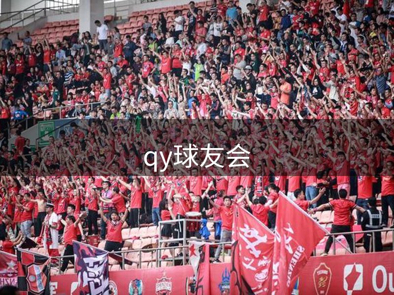 网站未来方向